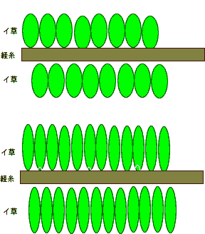 omote-model.gif